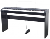 Artesia A-10 Black polished 